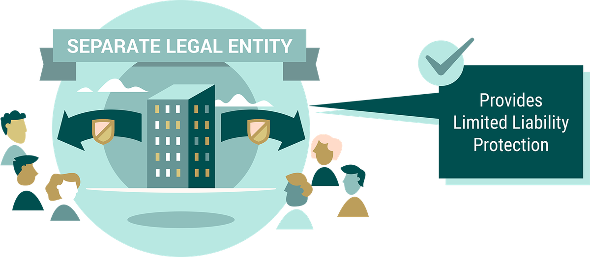 DST Guide - Ch 02 - Separate Legal Entity